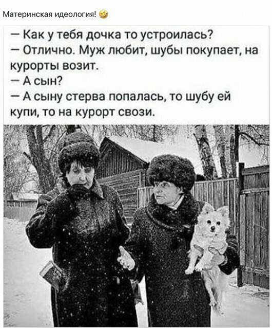 Прикольные и смешные картинки