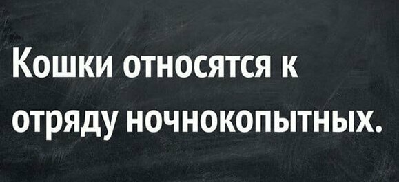 Прикольные и смешные картинки от Димон за 26 августа 2019