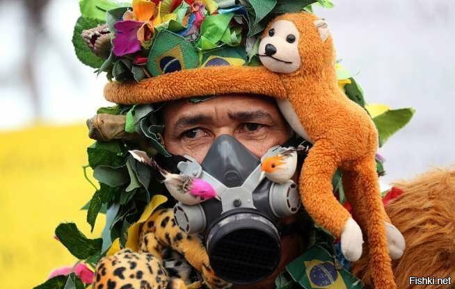 в Рио-де-Жанейро прошла демонстрация в защиту тропических лесов Амазонии