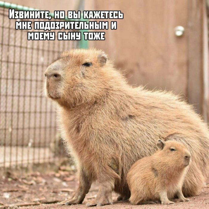 Намешал