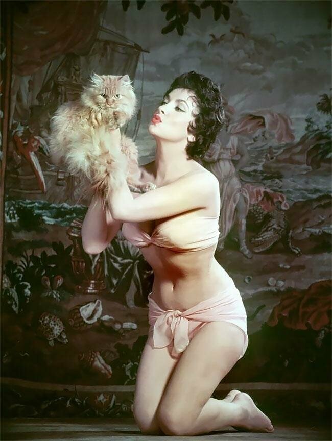 Джина Лоллобриджида, 1954
