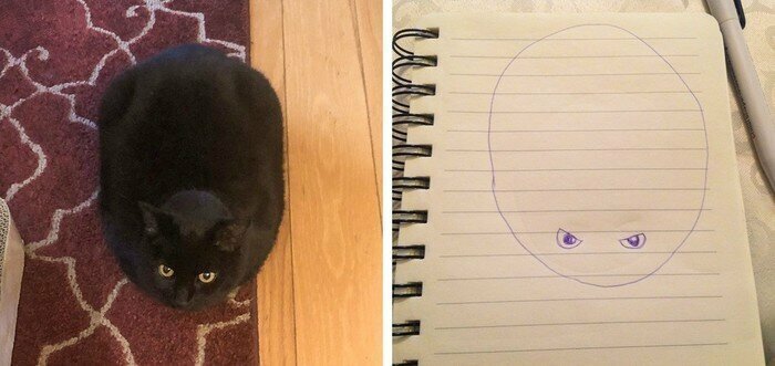 Как схематично нарисовать кота