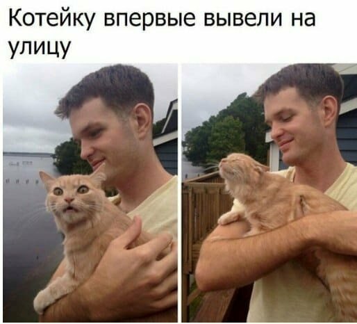 Смешные картинки от Урал за 27 августа 2019