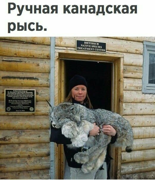 Смешные картинки с надписью от Урал за 28 августа 2019 08:33