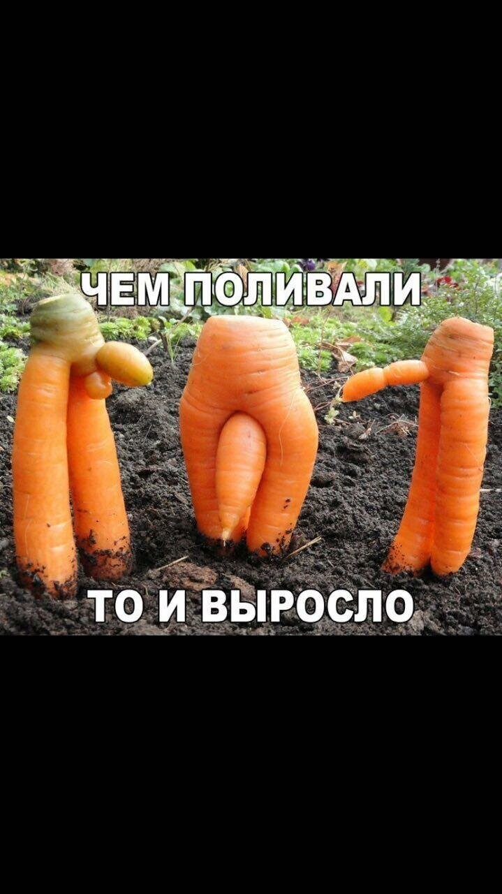 Немного недоклассики