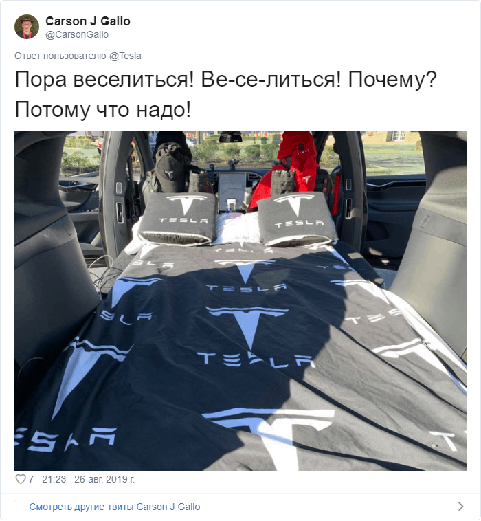 Водители Tesla показали, во что превратили салоны своих машин