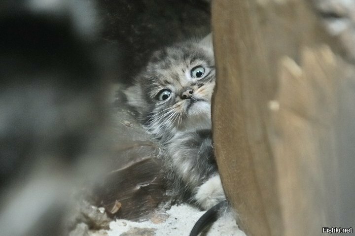 Солянка от 29.08.2019