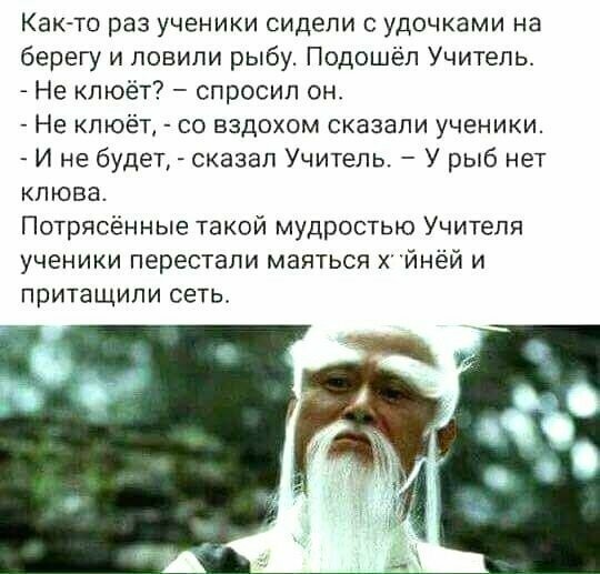 Прикольные и смешные картинки