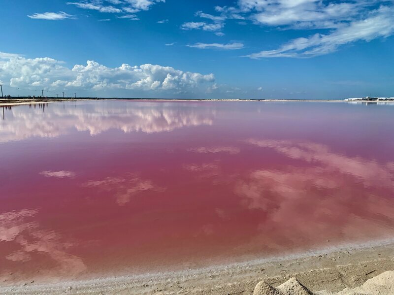 Почему озера становятся розовыми