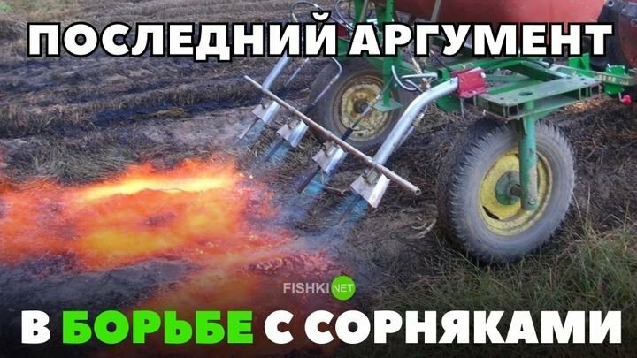 Последний аргумент в борьбе с сорняками