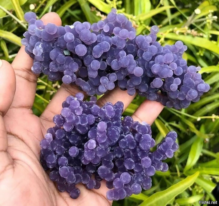 Виноградный халцедон — агат, который очень похож на ягоды
