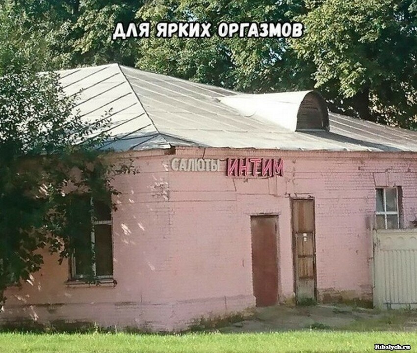 Забавные и прикольные картинки