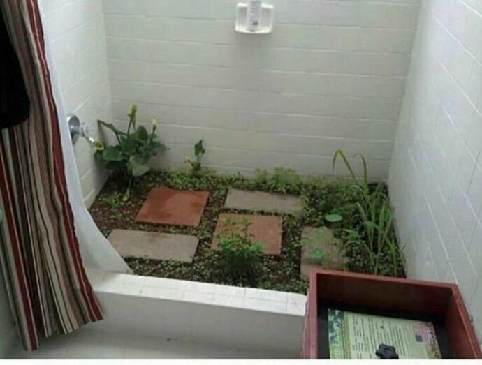 4. Из объявления арендодателя: "Я вырастил сад в душевой, поэтому можете пользоваться только натуральными шампунями. Вы увидите червей и других насекомых, в том числе и паука, но все они поддерживают экосистему"