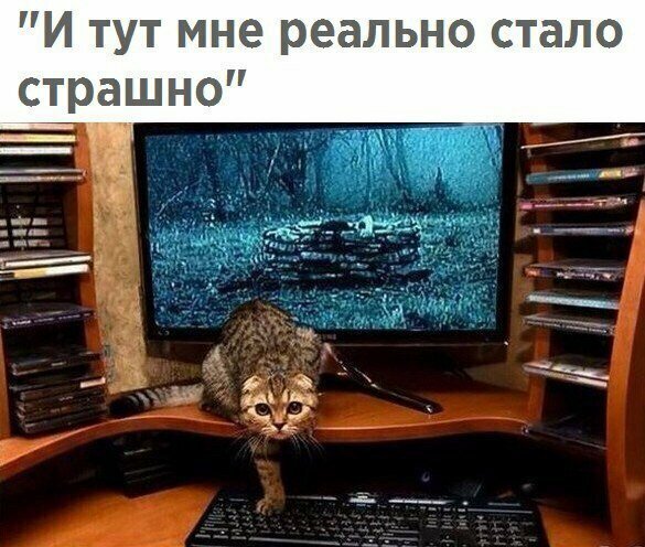 Смешные картинки с надписью от Урал за 31 августа 2019 14:27