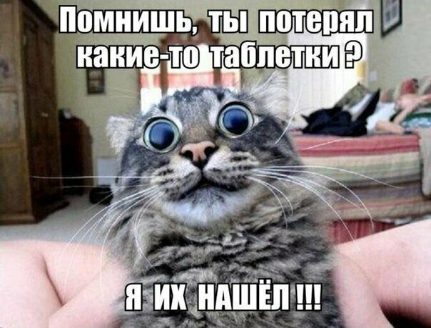 Смешные картинки с надписью от Урал за 31 августа 2019 16:08
