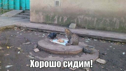 Смешные картинки с надписью от Урал за 01 сентября 2019