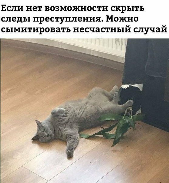 Смешные картинки с надписью от Урал за 02 сентября 2019 08:23