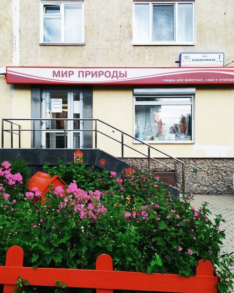 6. Мир природы