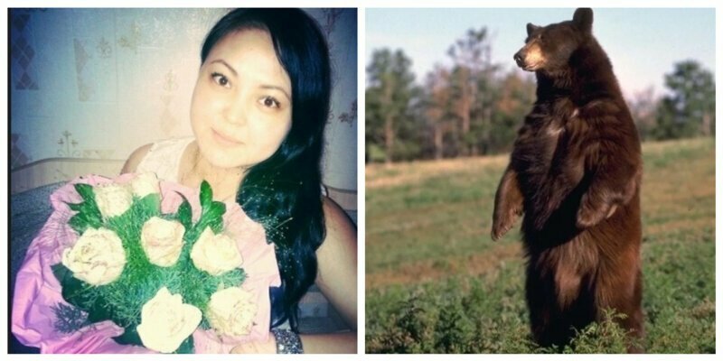 В Якутии девушка-сторож пыталась прогнать медведя, приняв его за вора