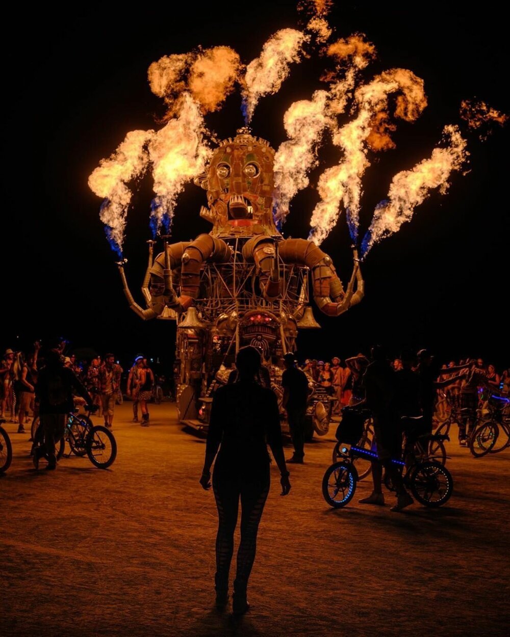 Burning man презентация