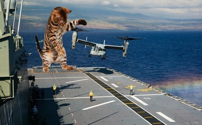 В Сети появился любитель пририсовывать к военной технике гигантских котов