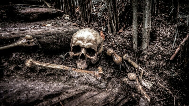 Чем дальше в лес: в Омской области нашли скелет парня 4-летней давности, которого наказали за кражу