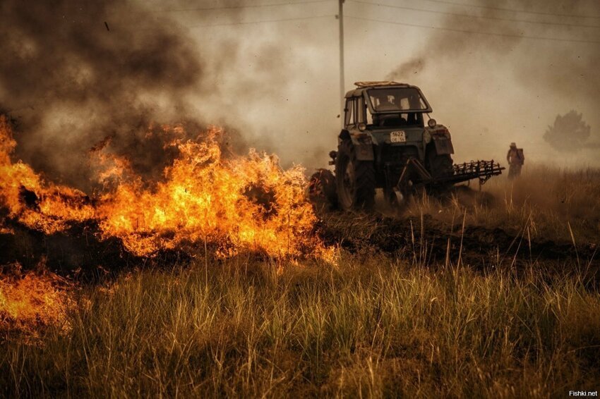 Лесные пожары  в августе добрались до Оренбургской области
