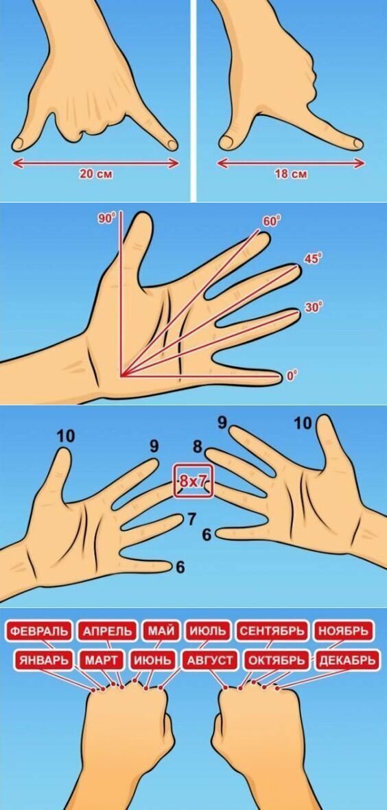 Всякие измерительные штучки, которые можно измерить вашими пальцами и прочими частями тела. Гусары, молчать!