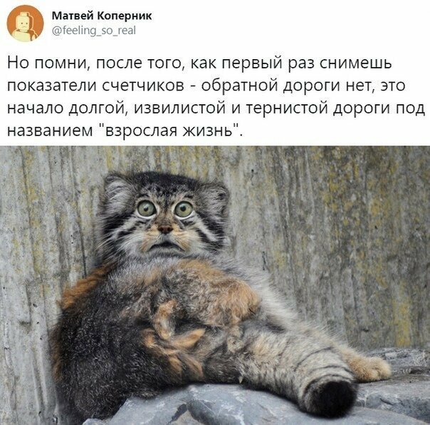 Смешные картинки с надписью от Урал за 05 сентября 2019