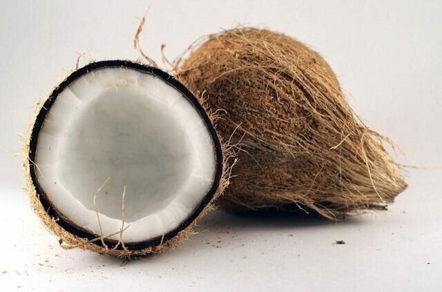 Кокосовый краб - огромный членистоногий монстр