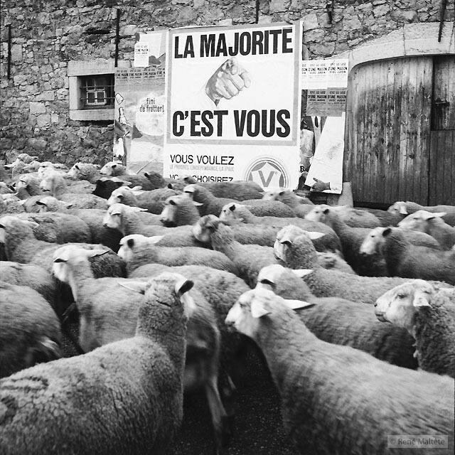 Легкий юмор в уличных фотографиях Франции прошлого века