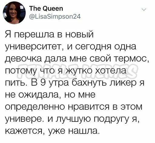 Прикольные и смешные картинки