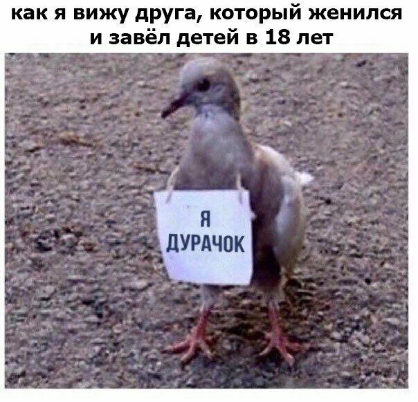 Смешные картинки с надписью от Урал за 07 сентября 2019