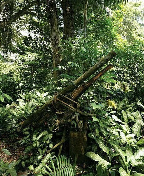 Японское орудие ПВО в Веваке, Папуа Новая Гвинея