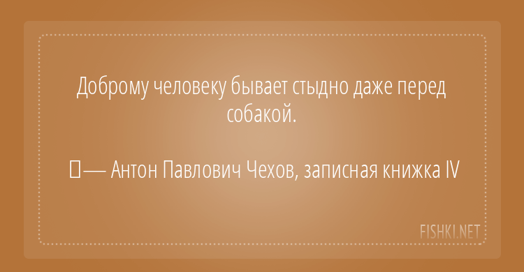 Цитаты о собаках