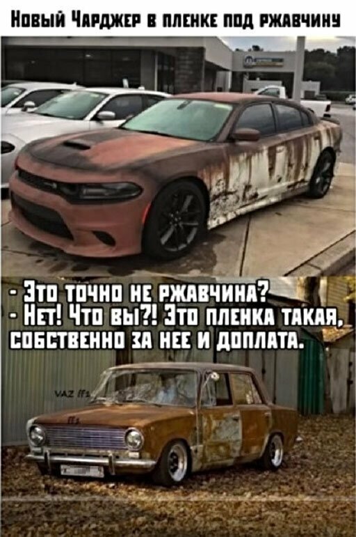 Прикольные и смешные картинки