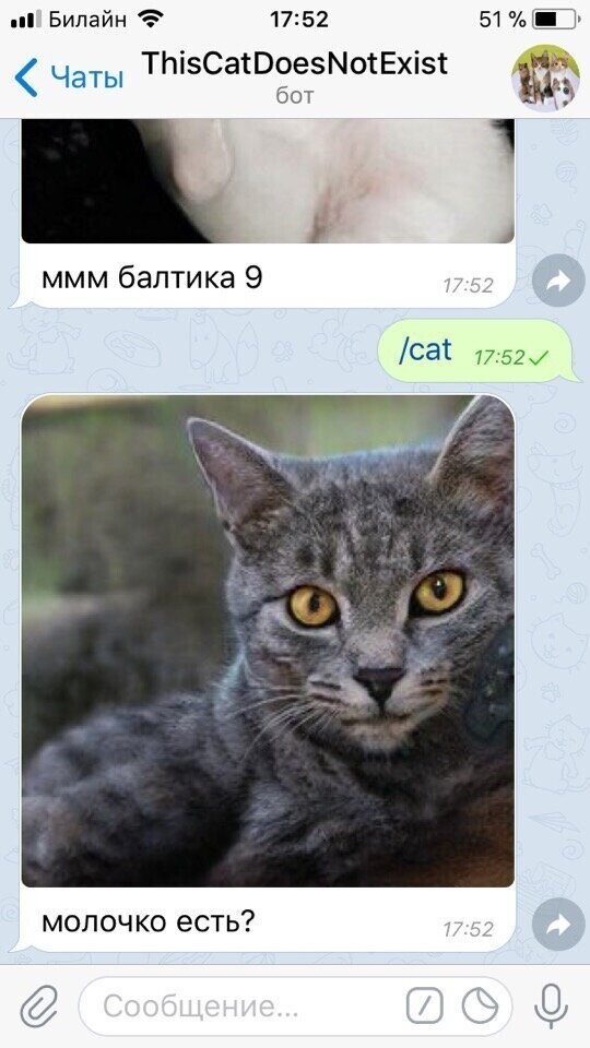 @ThisCatDoesNotExistBot