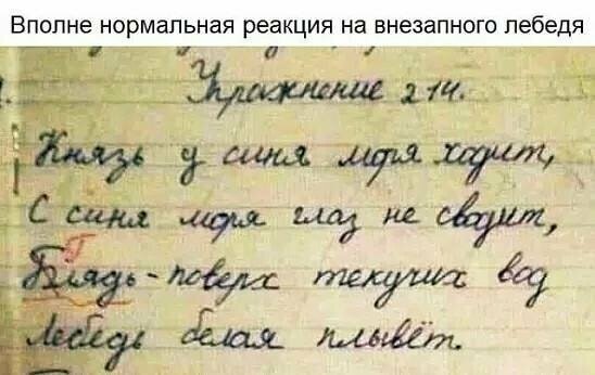 Правда жизни