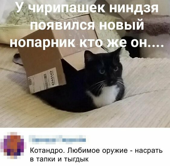 Прикольные и смешные картинки