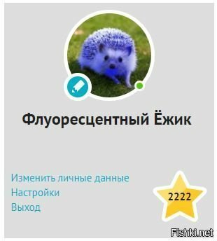 Спасибо, подрочил