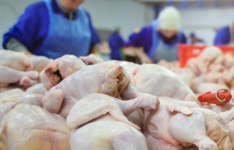 Экспорт мяса птицы в Китай. Процесс пошёл