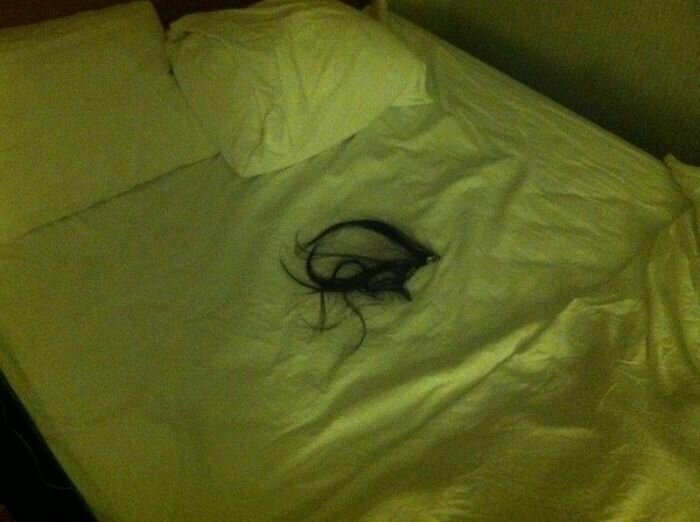 10. "Обнаружил это под одеялом, когда ложился в кровать. Кто забыл волосы?"