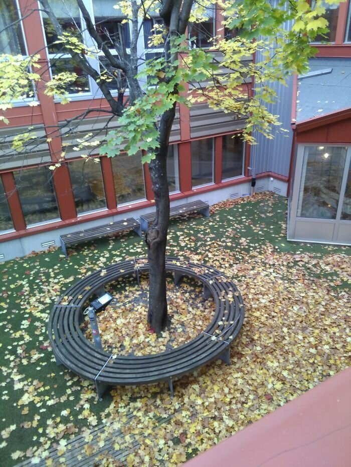 "Во внутреннем дворе нашей школы сделали мини-парк. Но туда не ведет ни одна дверь"