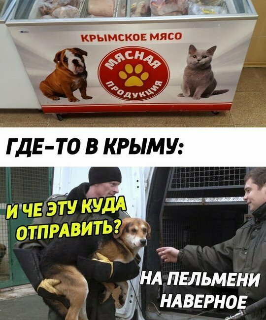 Картинки с надписями