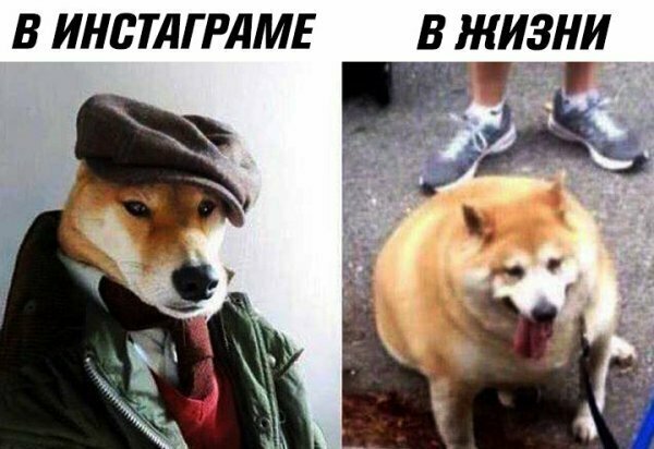 Картинки с надписями