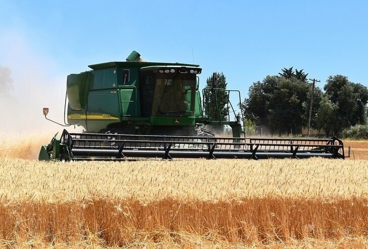 Рекордный урожай яровой пшеницы собран с липецких полей