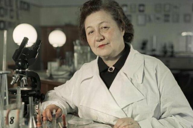 Мадам Пенициллин. Как советский учёный изобрела аналог первого антибиотика