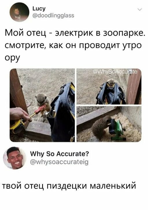 Прикольные и смешные картинки