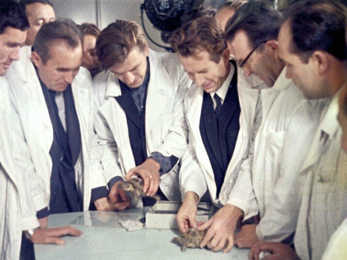 51 год назад стартовал советский космический корабль "Зонд 5" с живыми существами к луне