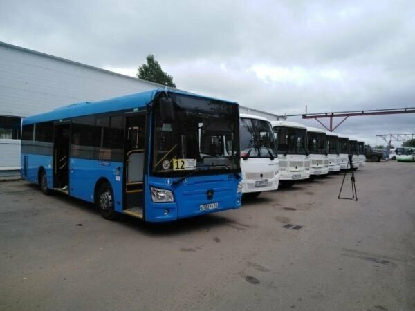 В Новгородскую область поступили новые автобусы для пригородных перевозок